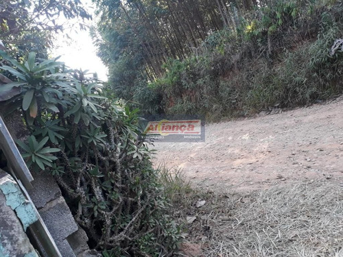Terreno À Venda, 18383 M² - Monte Negro - Santa Isabel/sp - Ai17651