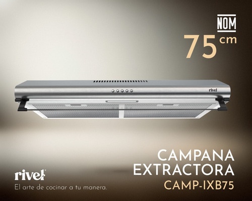 Campana Extractora Cocina 75cm Rivel Camp-ixb75 Acero Inox Color Plateado