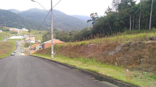 Terreno À Venda, 390 M² Por R$ 179.000,00 - Itoupava Central - Blumenau/sc - Te0303