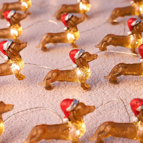 Cadena De Luces Parpadeantes Para Perro 30 Led 3 Metros