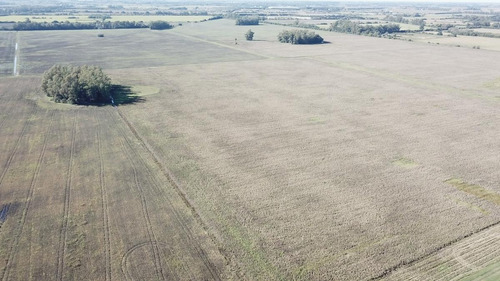 430 Has. Agrícolas Sobre Asfalto