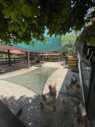 Casa En Pueblo Panaba