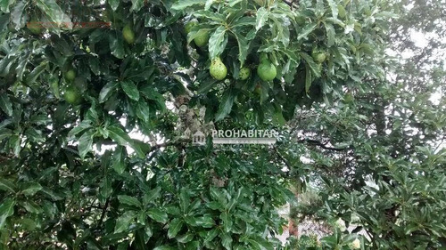 Imagem 23 de 30 de Chácara Rural À Venda, Cipó, Embu-guaçu - Ch0097. - Ch0097