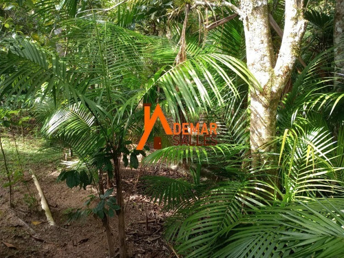 Imagem 23 de 30 de Chacara - Ch00120 - 70787182