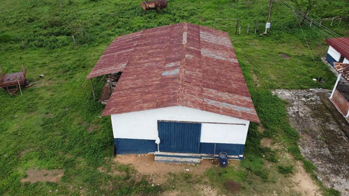 Imagen 10 de 25 de Jd. Se Vende Hermosa Finca En San Antonio De Caparo