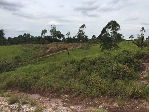 Imagem 7 de 9 de Terreno Em Campo Limpo Paulista