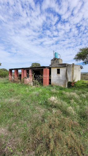 Venta Campo Sauce Totoral Canelones 9 Hectáreas Y Media Agricola Ganadero Ruta 86