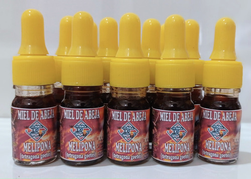 Gotero De Miel De Abeja Tetragona Goettei