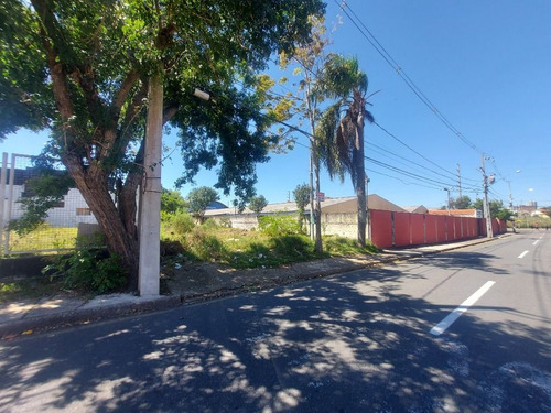 Imagem 11 de 17 de Terreno À Venda, 484 M² Por R$ 530.000,00 - São Cristóvão - São José Dos Pinhais/pr - Te0267