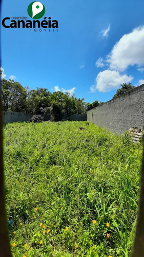 Imagem 8 de 8 de Terreno Retiro Das Caravelas - 450,00 M² - Limpo E Murado - Cananéia , Litoral Sul De Sp - Te00090 - 70480157