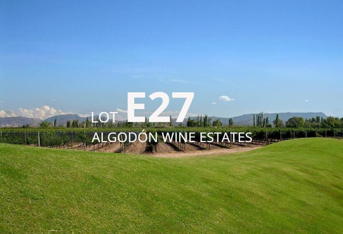 Lot E27 Algodón Wine Estates