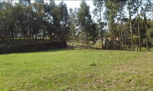 Imagem 2 de 15 de Chácara Para Venda Em Quitandinha, Zona Rural - Qui3300_1-2030544