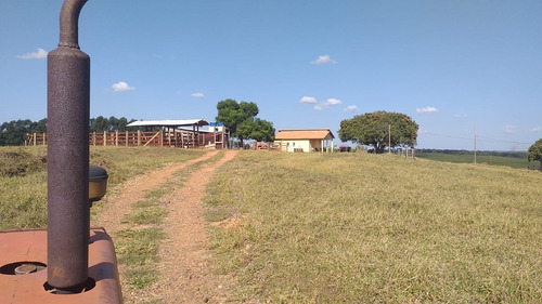 Imagem 1 de 17 de Sítio 5,6 Alqueires, 100% Tratoravel, Casa Sede, Casa De Caseiro, Poço Artesiano, 18 Cabeças De Gado, Porcos,galinhas, 2 Cavalos, Reservatorio De Agua - St00127 - 70193318