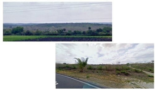 Imagen 7 de 7 de Se Vende Terreno Rustico , Antigua Morelos