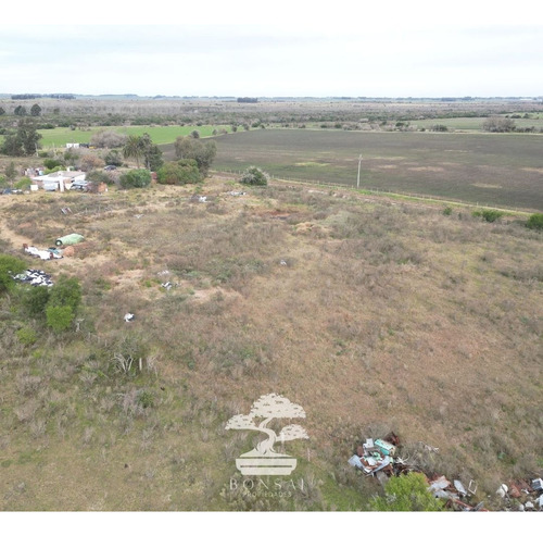 - Venta Chacra Con Casa La Macana Florida Mp.