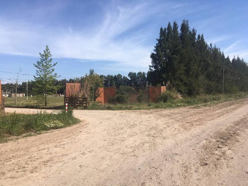 Imagen 5 de 7 de Excelente Terreno De 1043 M2/ Barrio Chico/ San Pedro