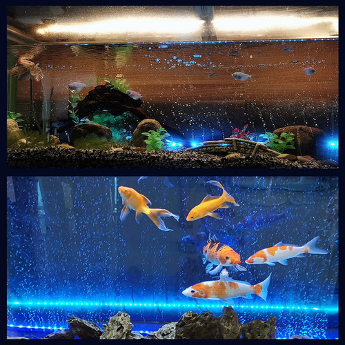 Barra De Burbujas Led Multiusos Con Tiras Coloridas Para Acu