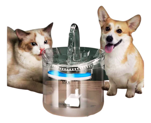 Bebedero Con Fuente Agua Eléctrico Para Perros Y Gatos Color Blanco