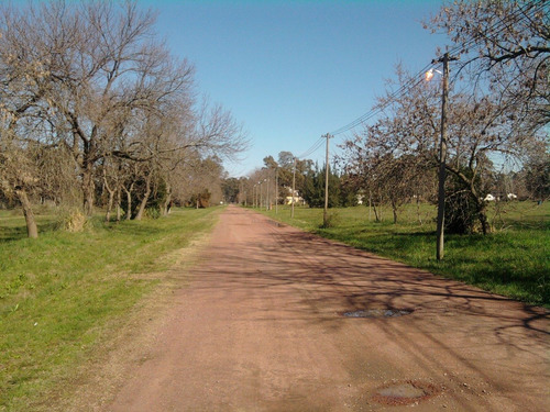 Imagen 4 de 11 de Venta De Lote - Guernica