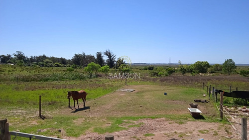 Espectacular Chacra Comercial En Maldonado - Ref: 63983