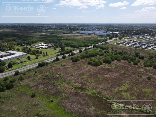 Imagen 4 de 12 de Lote / Terreno / Predio Industrial / Comercial En Venta De 6,3 Has En Florencio Varela