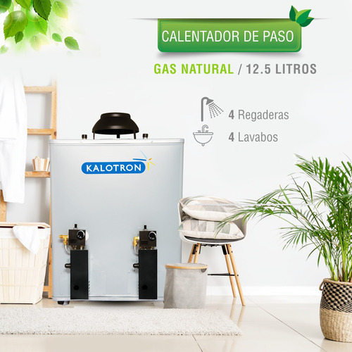 Boiler De Paso Gas Natural 12.5l 4.5 Servicios Encendido Ele Color Gris Tipo de gas GN