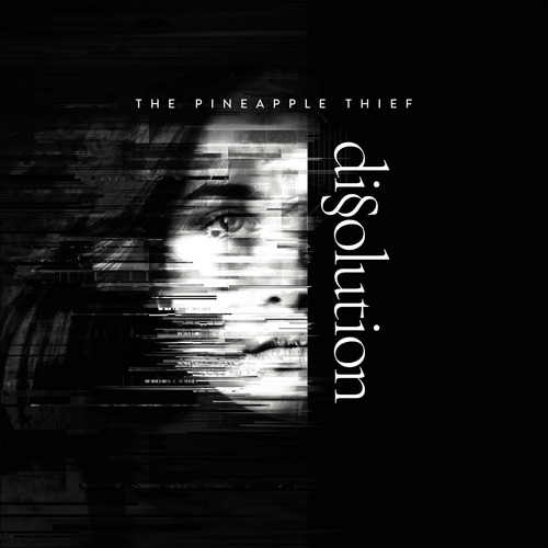 Cd: Dissolution