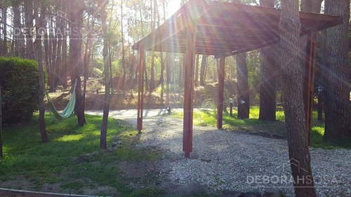 Imagen 14 de 16 de Hermoso Complejo De 4 Cabañas Y 1 Dpto. 3 Amb. A 200 Mts. De La Playa!