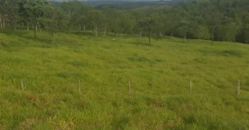 Imagem 1 de 8 de Terra Com Casa Há 37km De Formiga - Mg