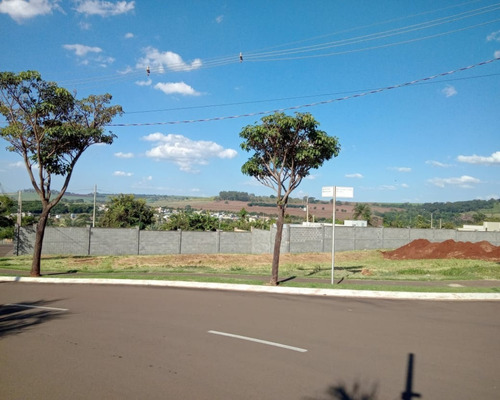 Imagem 10 de 13 de Terreno - Te00270 - 69512010