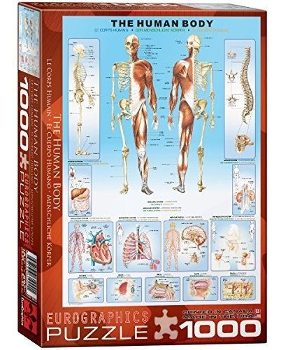 Rompecabezas Del Cuerpo Humano De Eurographics (1000 Piezas)