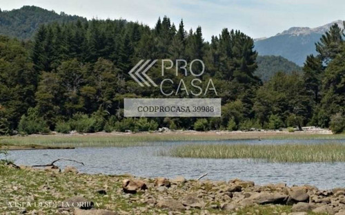 Lago Pirihueico / Lago Pirihueico Cv