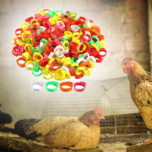 100 Pçs Anéis De Perna De Frango Banda De Identificação