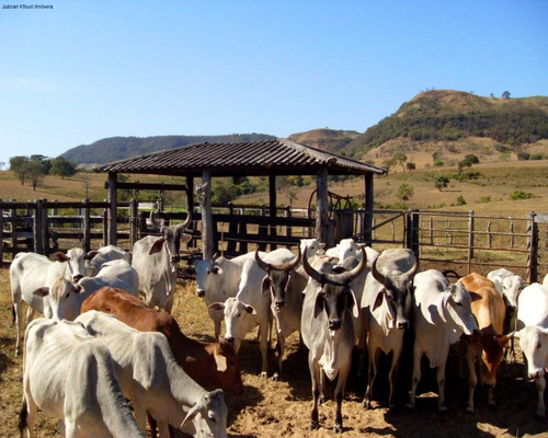 Imagem 5 de 6 de Fazenda - Fa00019 - 33989225