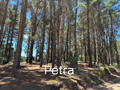 Terreno En Venta En Villarobles