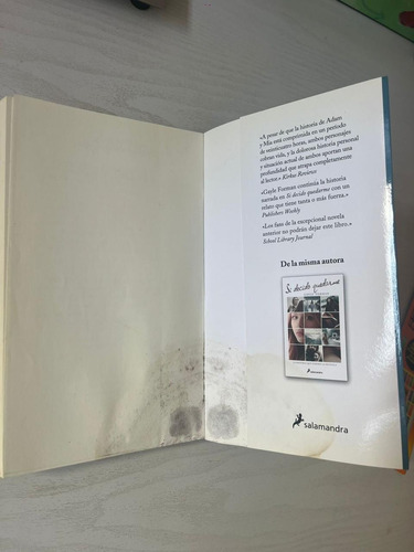 Lo Que Fue De Ella - Gayle Forman, Salamandra Juvenil (Usado)