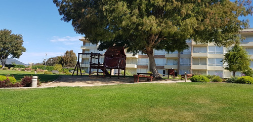 Arriendo Cómodo Depto Lomas De Papudo- 3 Dorm/2baños- 6 Pers