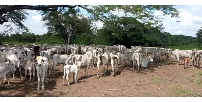 Hacienda-Finca en venta