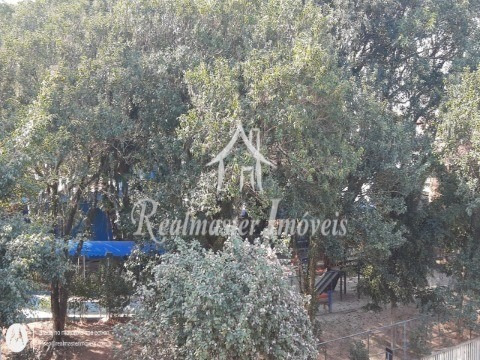 Imagem 20 de 30 de Casa - Ca00288 - 70031579