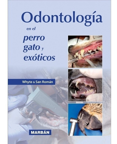 Whyte & San Román: Odontología En Perros Gatos Y Exóticos