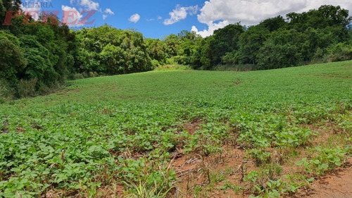Chácaras_sítios_fazendas Para Venda - 13650.7652