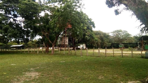 Imagen 13 de 14 de Fabulosa Finca En Maturin
