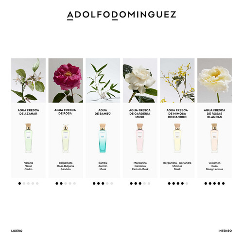 Adolfo Dominguez Agua De Bambú Fem Edt 120 Ml