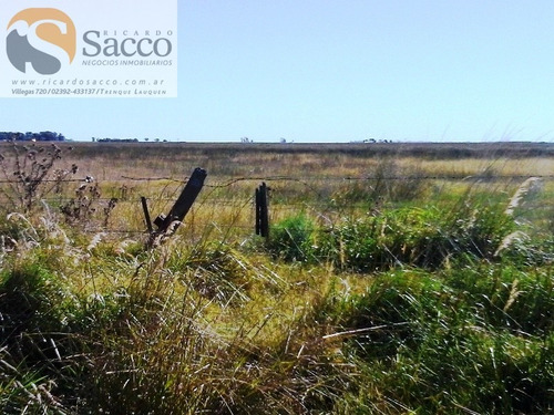 Chacra En Venta En Distrito De #trenquelauquen