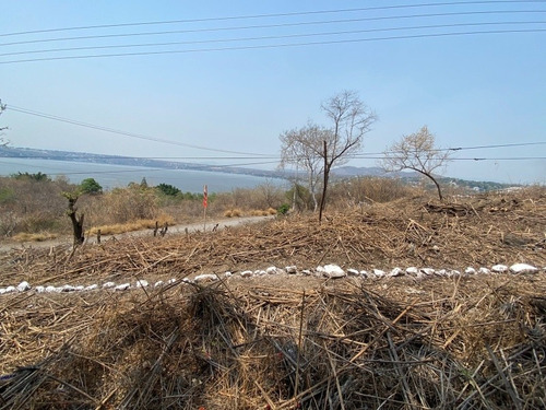 Imagen 25 de 30 de Terreno En El Tequesquitengo Morelos