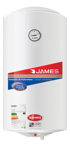 Calefon Termotanque James 110 Lts Acero Envío Gratis