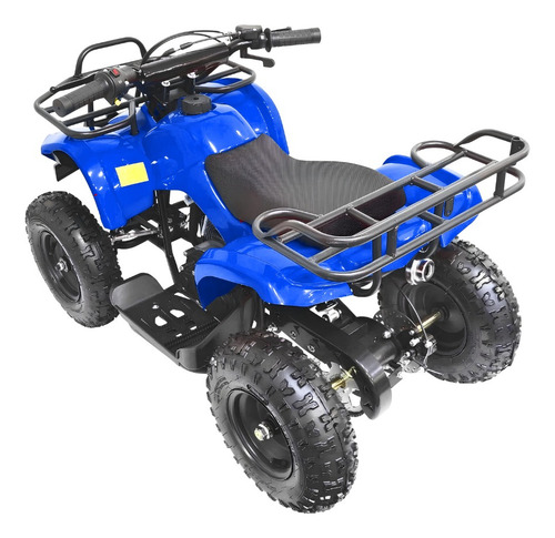 Mini Quadriciclo 49cc Carrinho Infantil 2 Tempos C/ Nf - Dsr