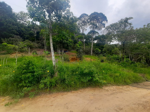 Imagem 2 de 15 de Cod.830 Sitio Com 34mil M² No Parque Capivari - 12579