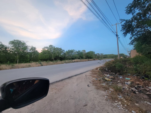 Vendo Hectarea Alamos Uso De Suelo Mb