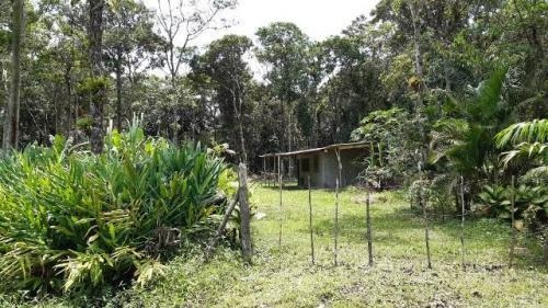 Imagem 2 de 7 de Chácara Litoral Sul Lado Serra 5080m²- Ref. 7728/dz